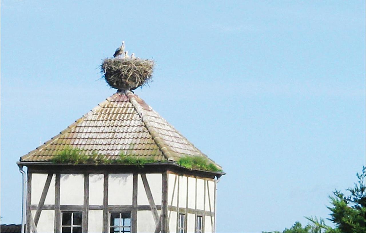 Herrenhaus Luebbenow Luaran gambar